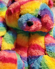 Load image into Gallery viewer, Rainbow Teddy Bear Slippers One Size 6-10.5
